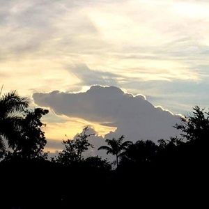 Meet your Posher, Paul